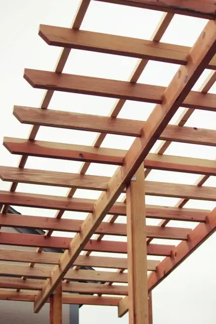 DIY (своими руками)_Grape_Arbor_add_privacy246