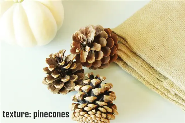 White Pumpkin Centerpieces - подумайте о том, чтобы выехать на природу и найти несколько естественных украшений, созданных матушкой-природой