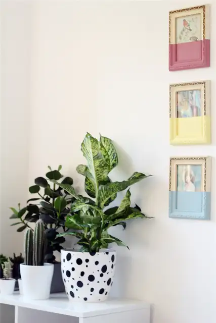 Dalmatian Spotted Planter с рисунками, нанесенными краской
