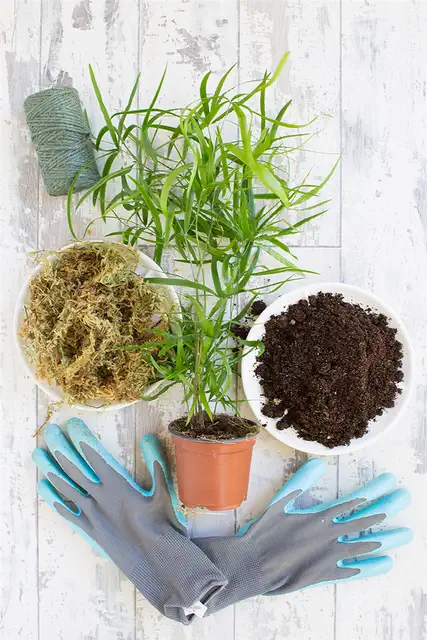 kokedama_supplies