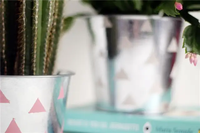 DIY (своими руками)-Chrome-patterned-Planter-Closer-View