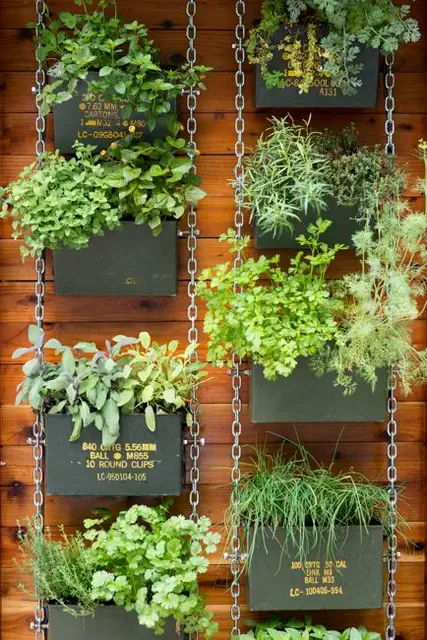 Настенные плантаторы из консервных банок - The Horticult