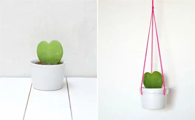 DIY (своими руками)-Hanging-Planter-Swinging