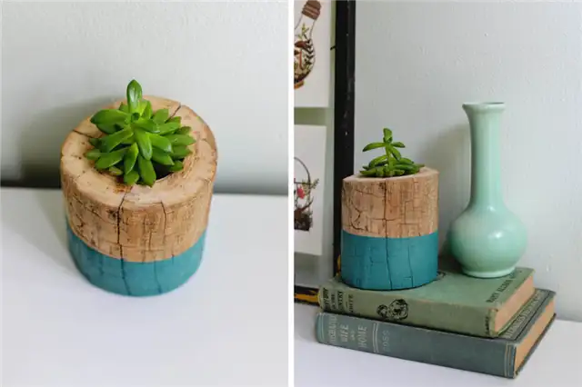 двухцветный плантатор из ствола дерева DIY (своими руками)