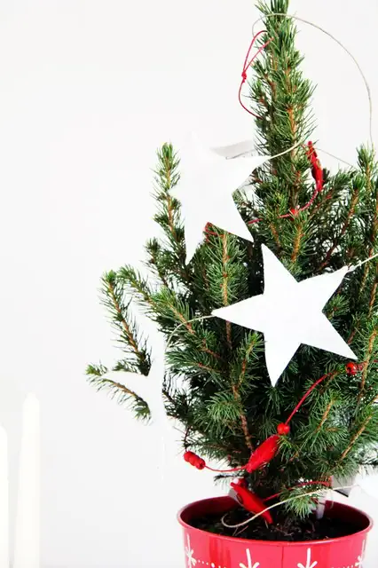 Felt-Star-Banner-around-tree-closeup-682x1024