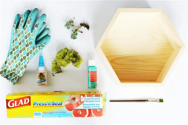 DIY (своими руками) суккулент настенный плантатор поставки