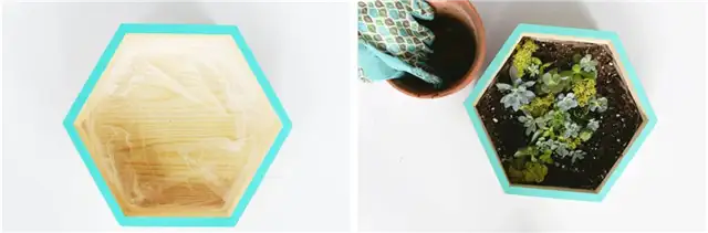 DIY (своими руками) Суккулент настенный плантатор Шаг 2