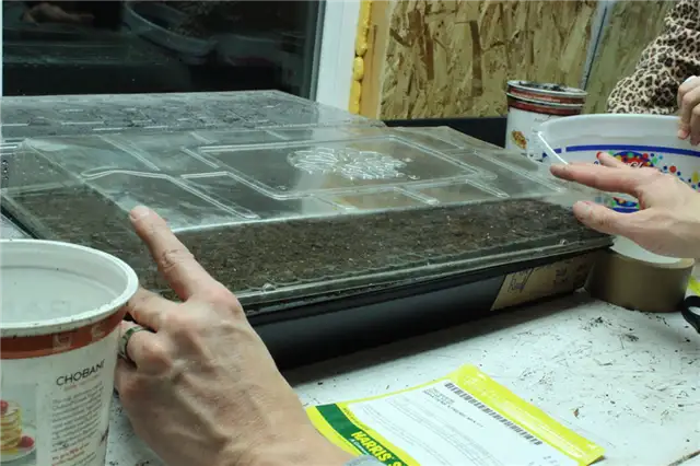 Поместите прозрачный пластик над