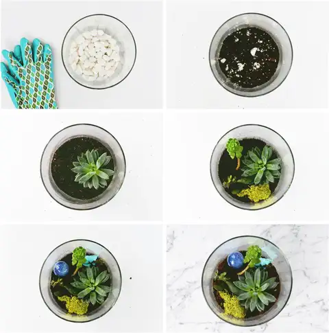 DIY (своими руками) Oversized Terrarium шаги