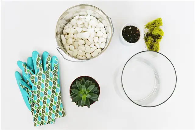 Материалы для террариума DIY (своими руками) Oversized Terrarium