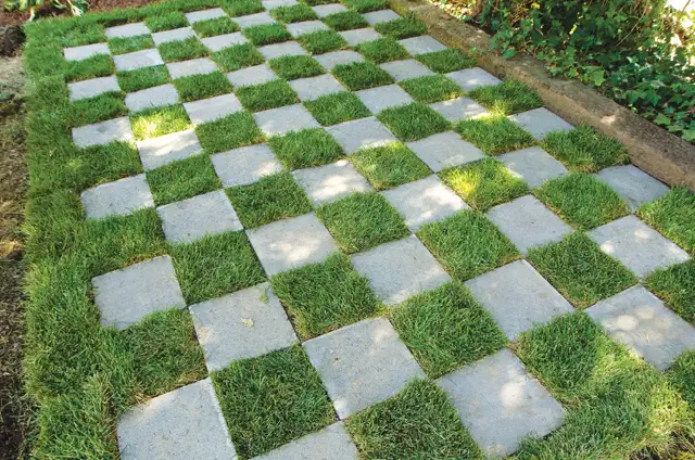 backyard-checkerboard-grass-concrete-pathway