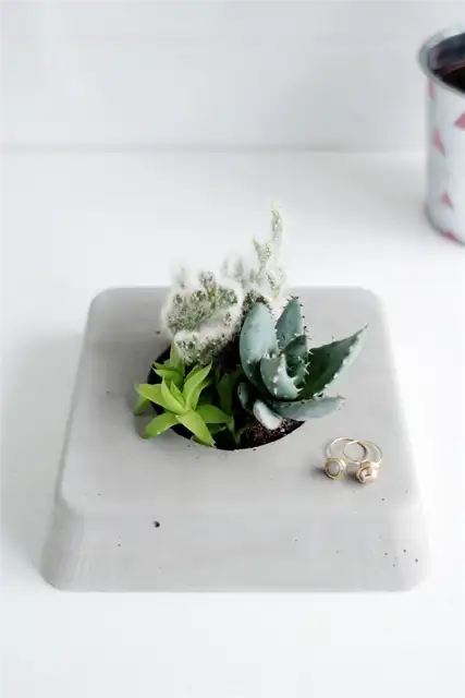 DIY (своими руками)-бетон-суккулент-Плантер-финиш-вид