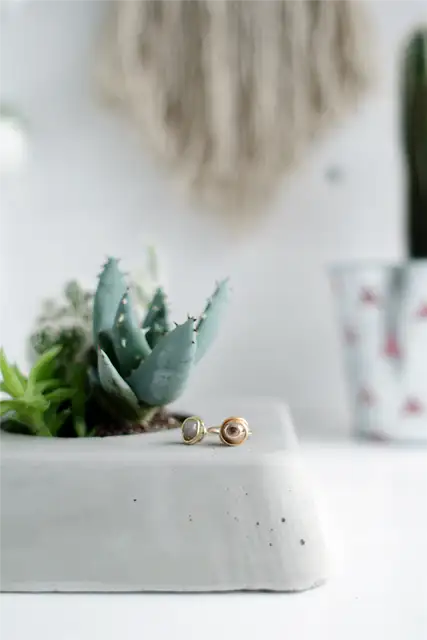 DIY (своими руками)-Concrete-Succulent-Planter-Closer-View