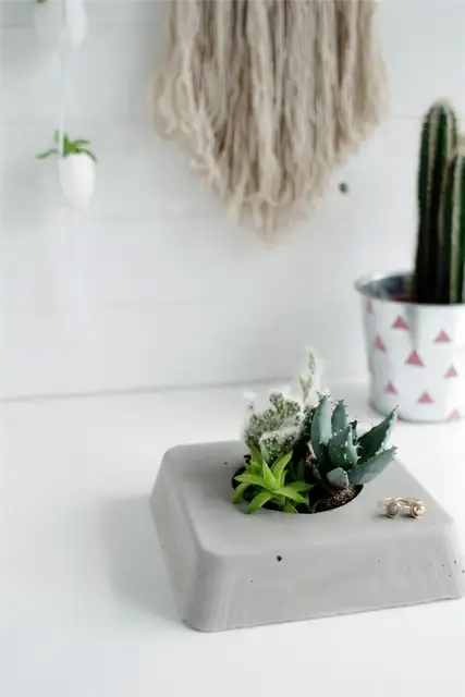 DIY (своими руками)-Concrete-Succulent-Planter-Minimalist