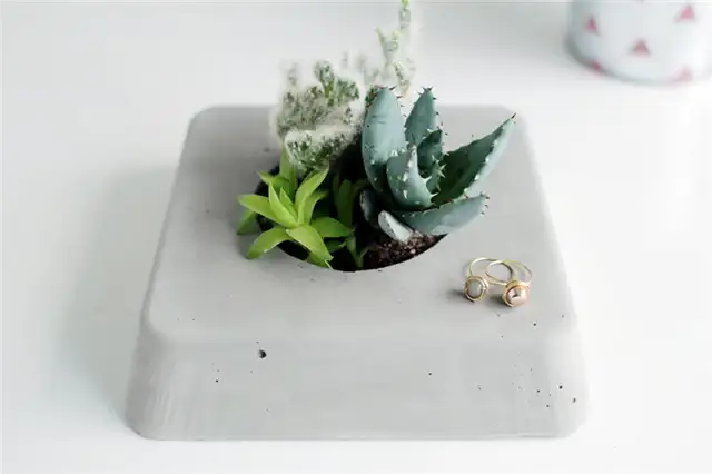 DIY (своими руками)-бетон-суккулент-Плантер-закрытие