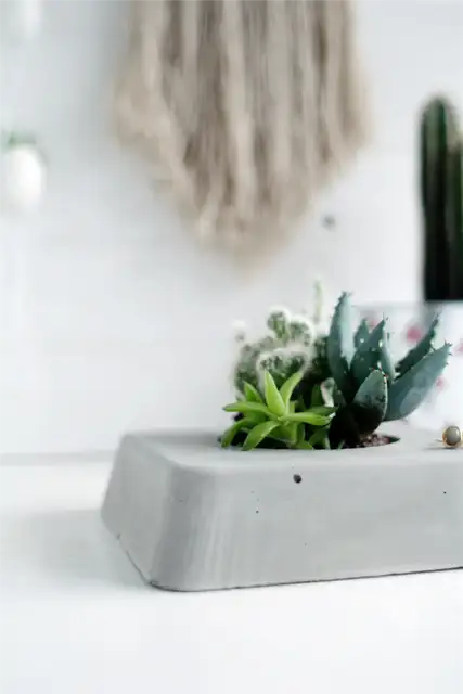 DIY (своими руками)-бетон-суккулент-плантер-угол