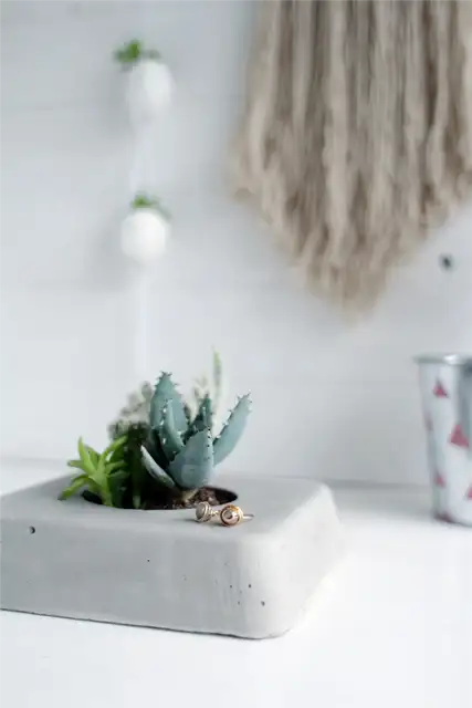 DIY (своими руками)-Concrete-Succulent-Planter-Finished-Corner-View