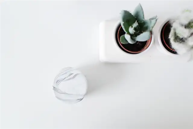 DIY (своими руками)-Marbled-Trinket-Dish-top-view