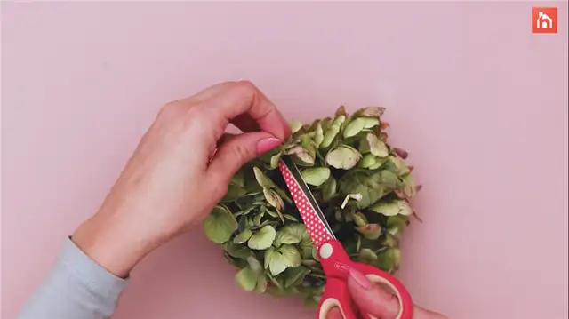 Картинка цветка из сосновой шишки - DIY (своими руками) шаг (20)