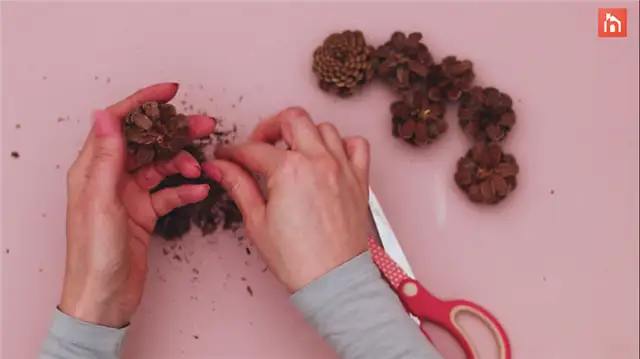 Цветочная картина из сосновых шишек - DIY (своими руками) шаг (8)