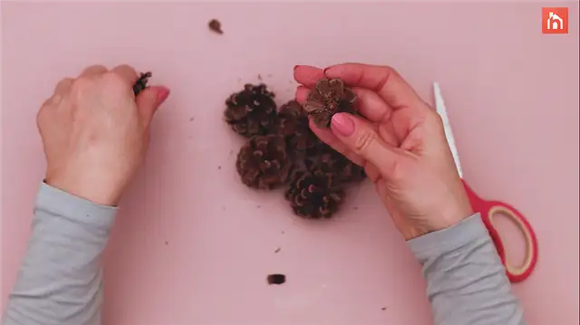 Цветочная картина из сосновых шишек - DIY (своими руками) шаг (6)