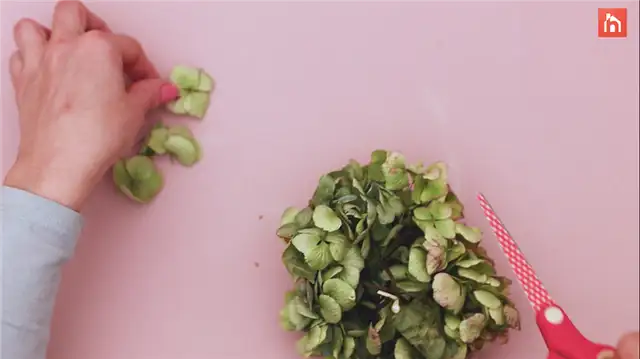 Картинка цветка из сосновой шишки - DIY (своими руками) шаг (21)