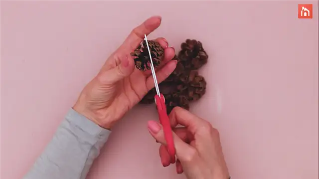 Картинка цветка из сосновой шишки - DIY (своими руками) шаг (4)