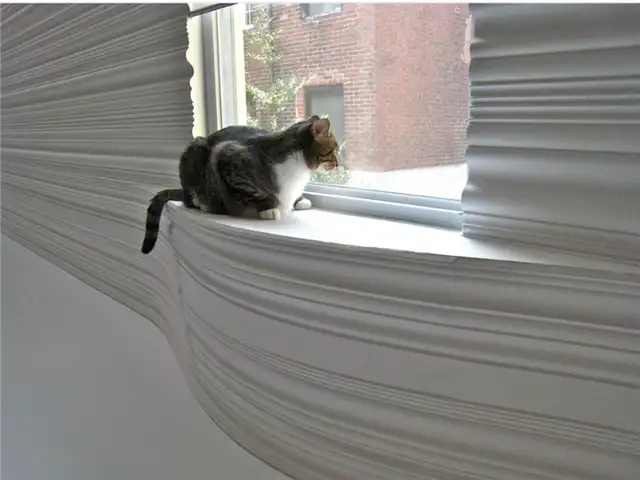 кошка на подоконнике