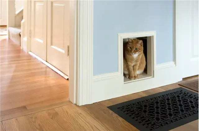 кошка в шкафу