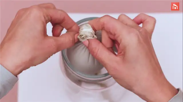DIY (своими руками) бетонная ручная сажалка (13)