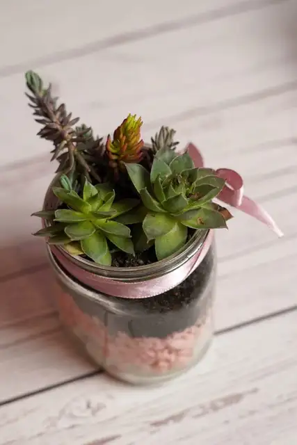 Diy суккулент плантатор 20