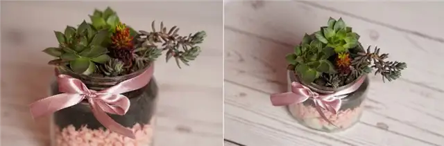 Суккулентный плантатор из банки Мейсона
