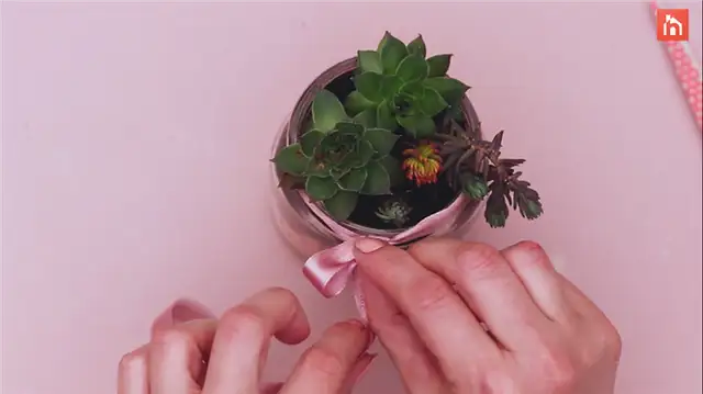 diy succulent planter (15)
