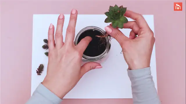 diy succulent planter (7)