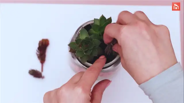 diy succulent planter (9)