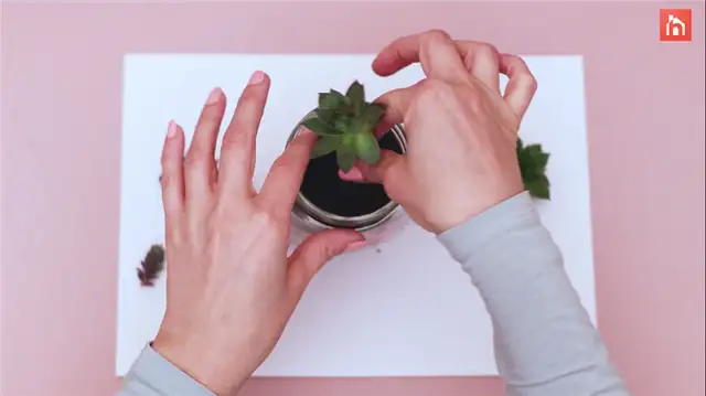 diy succulent planter (8)