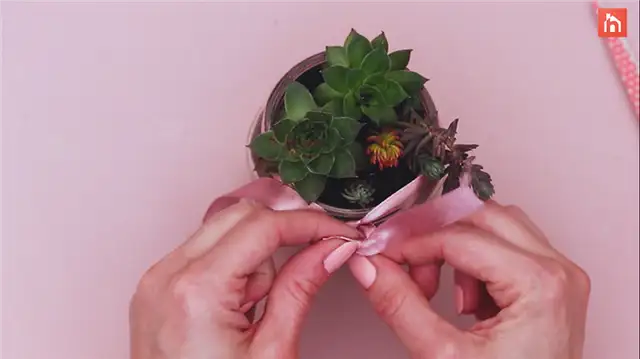 diy succulent planter (16)