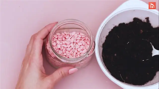 diy succulent planter (5)