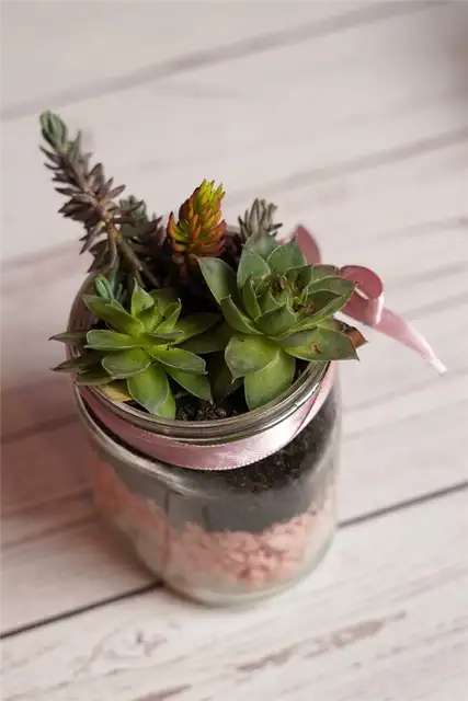Простой DIY (своими руками) суккулент плантатор