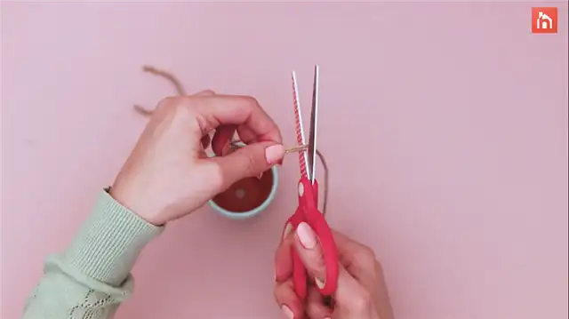 DIY (своими руками) подвесная плантация минин (15)