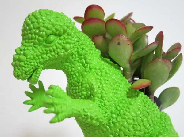 dino-plant-by-plaid-pigeon-5