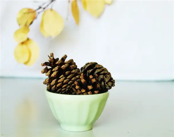 DIY (своими руками) Autumn Aromas - Поместите застегнутый пакет Ziploc
