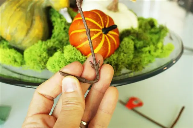 DIY (своими руками) Domed Pumpkin Patch - достаточно места в вашем теперь уже мини стебле