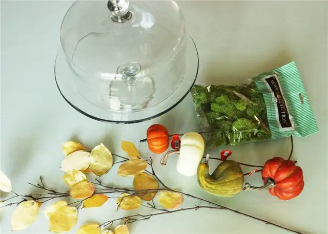 DIY (своими руками) Domed Pumpkin Patc - материалы