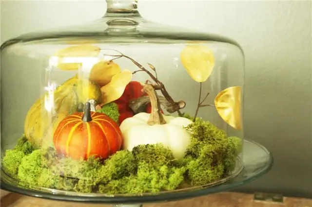 DIY (своими руками) Domed Pumpkin Patch - высота и визуальный интерес