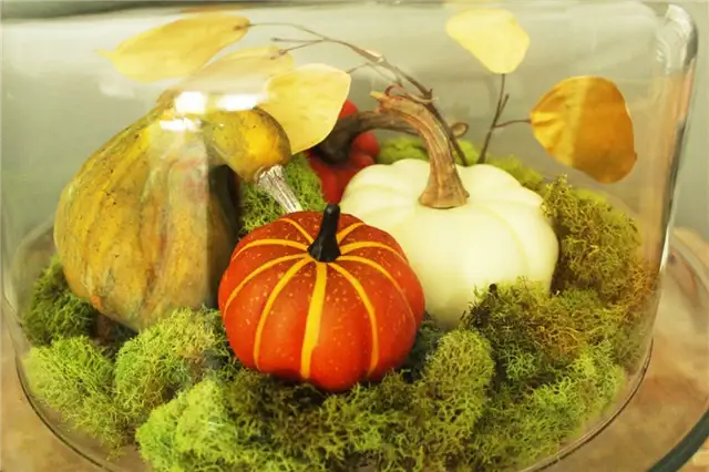 DIY (своими руками) Domed Pumpkin Patch - цвет вашей тыквы