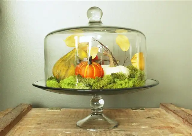 DIY (своими руками) Domed Pumpkin Patch - подставка для торта и купол создают красиво