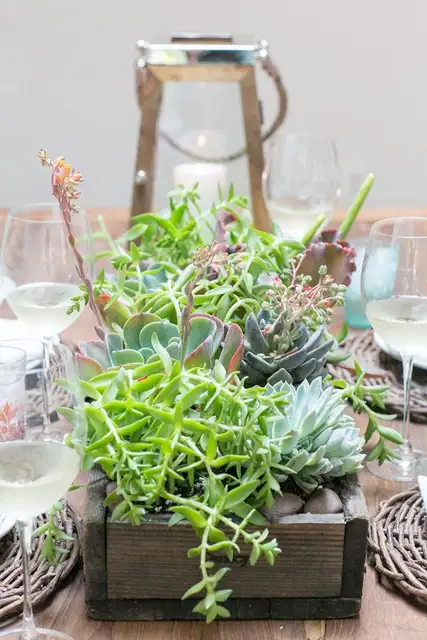 DIY (своими руками)-суккуленты-центральные украшения