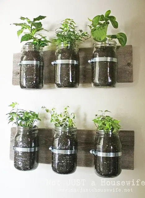 mason-jar-wall-planter