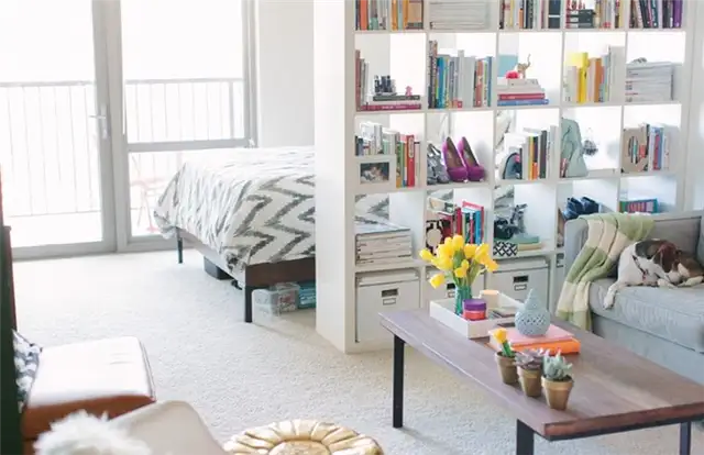Cait Weingartner Chicago Studio Apartment IKEA